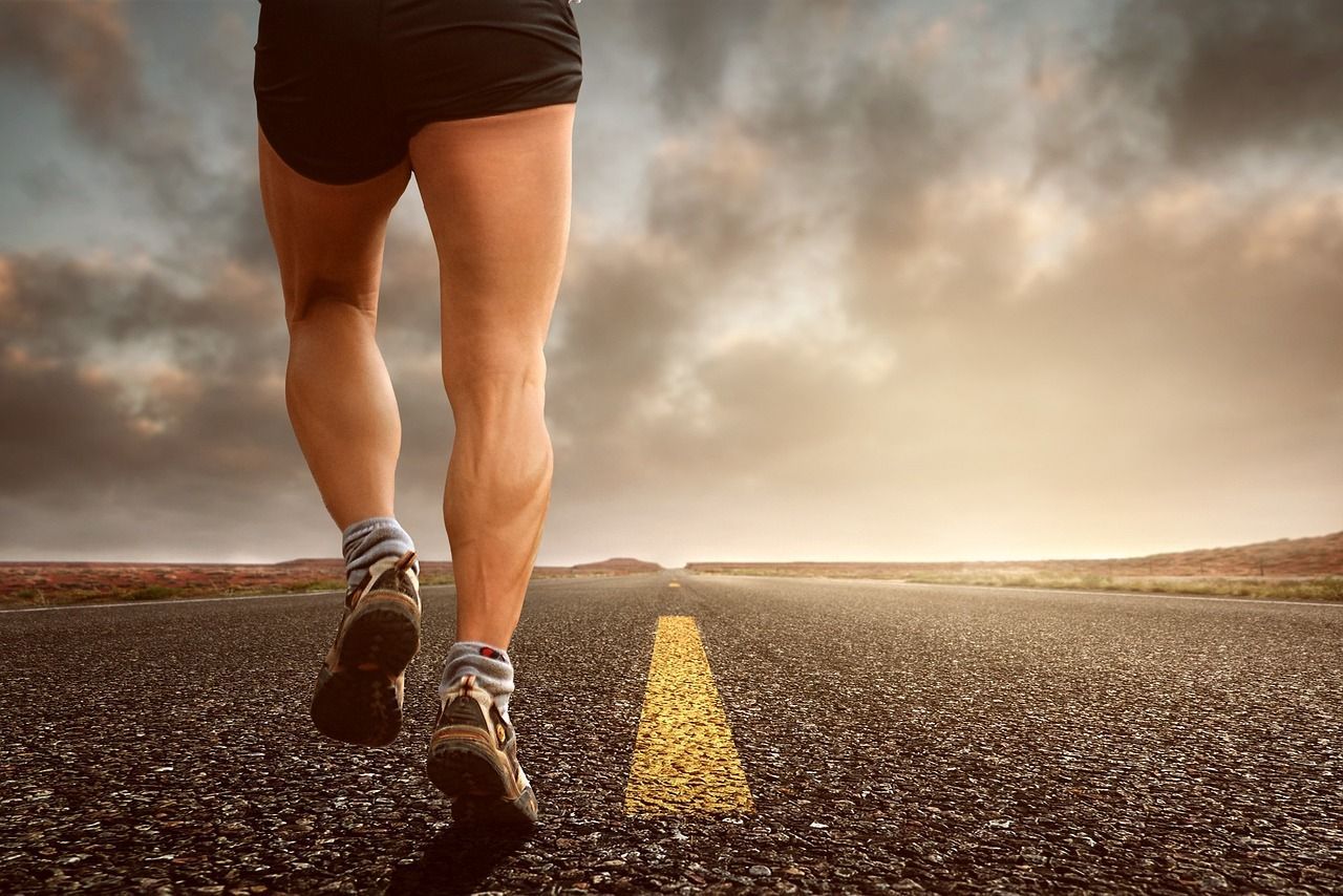 nutricion mensual deportista