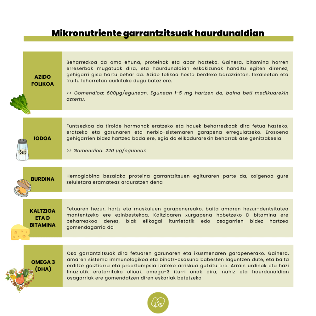elikadura haurdunaldian mikronutrienteak