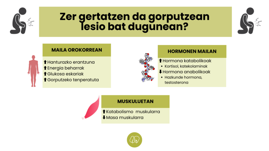 nutrizioa lesioen errekuperazioan