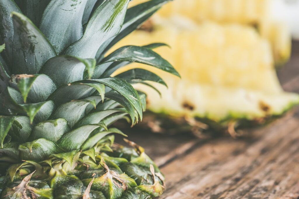 udako elikadura mitoak: piña
