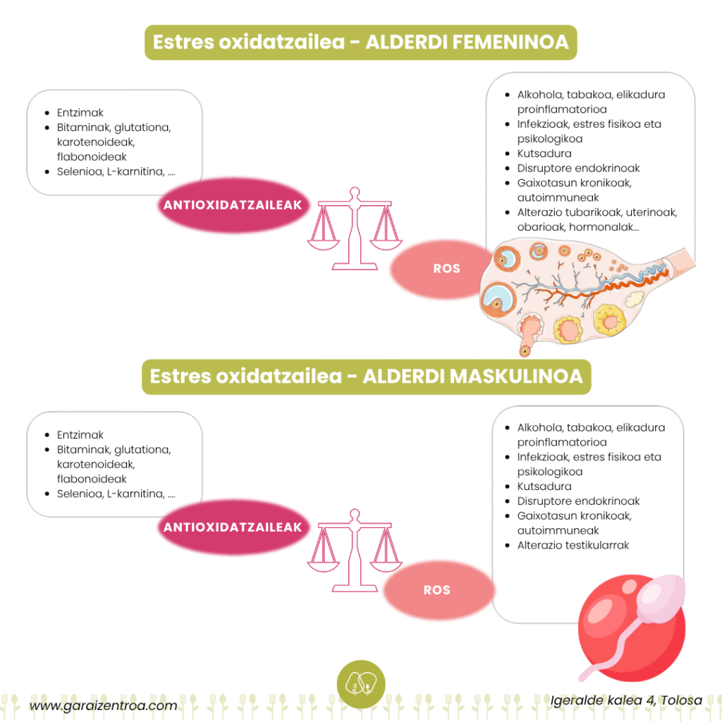oxidazio estresa eta osasun hormonala