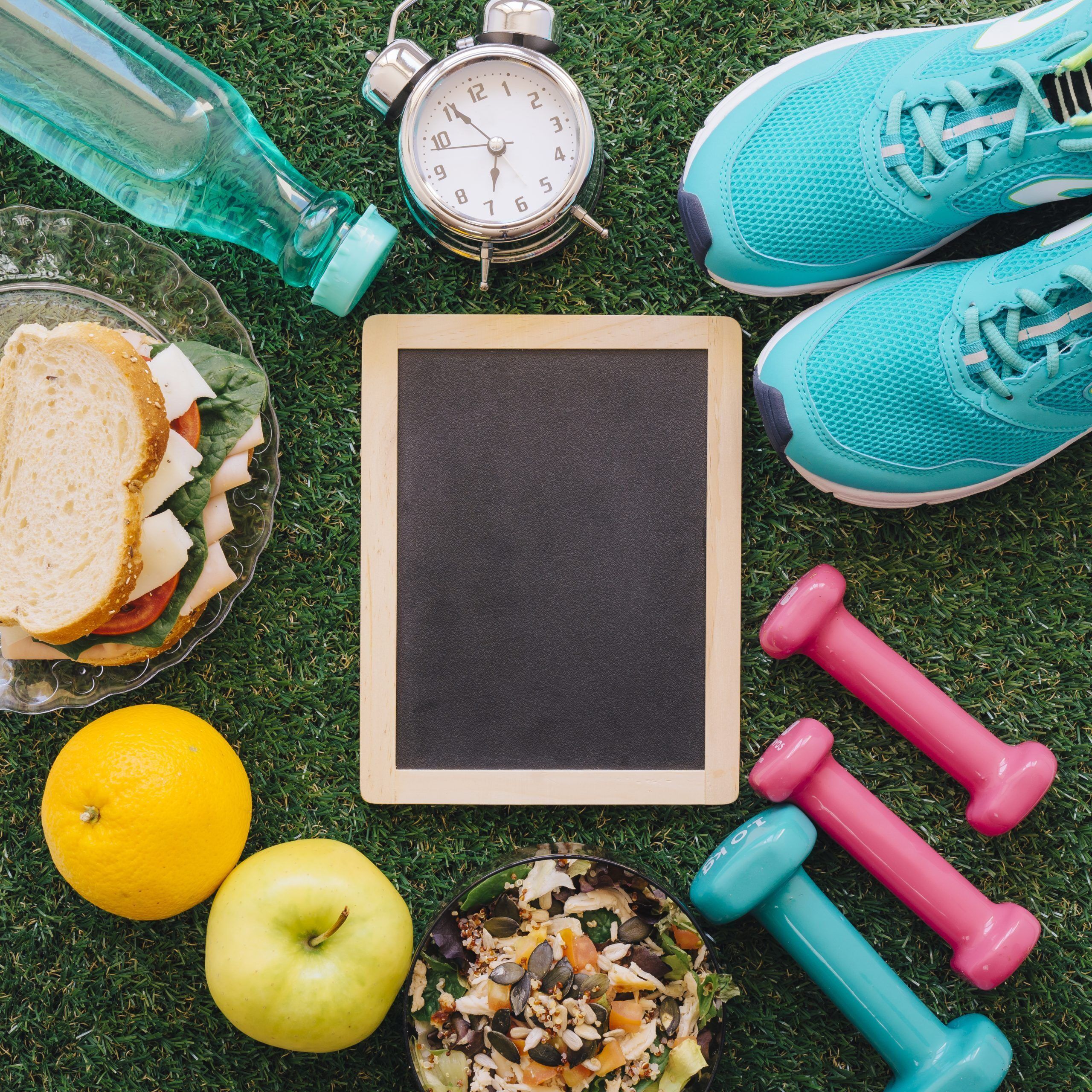metodologia nutricion