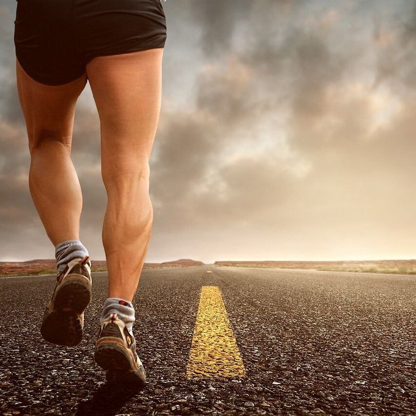 nutricion mensual deportista