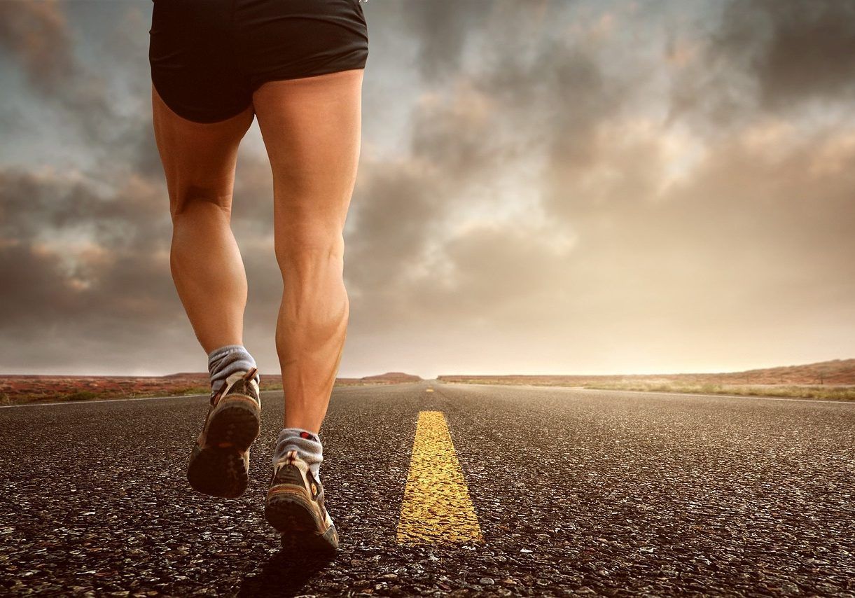nutricion mensual deportista